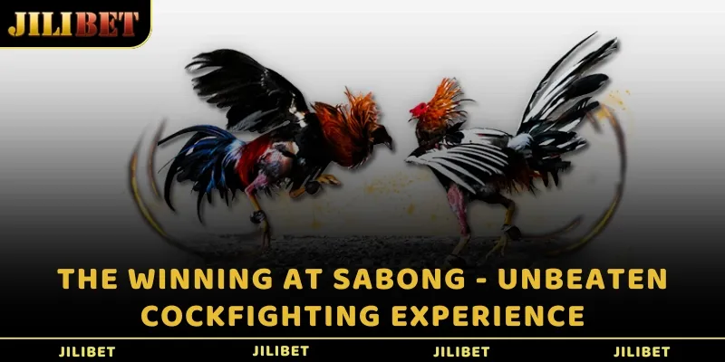 The Winning at Sabong - Unbeaten Cockfighting Experience