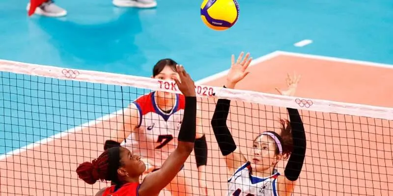 How to Choose a Reputable Online Volleyball Betting Bookmaker